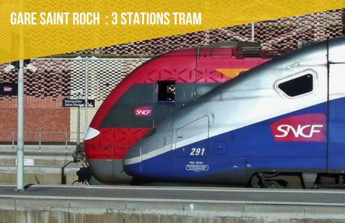 ALMA F2 hypercentre 1min cathédrale saint Pierre 3 min Tram Charme ancien & confort moderne Netflix - Foto 19