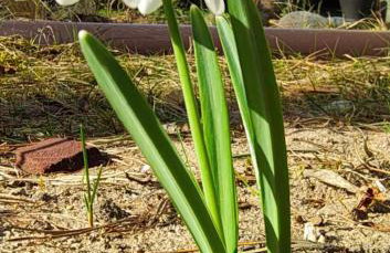 Leśniczówka Zielone Zakole - Foto 8