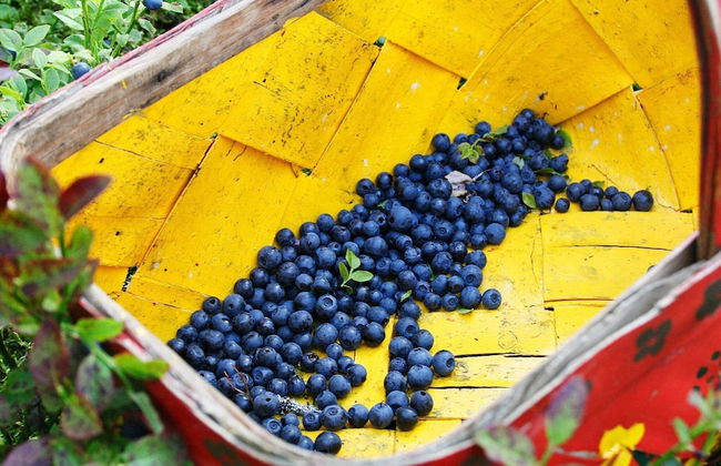 6 Person Holiday Home in Gagnef - Foto 1