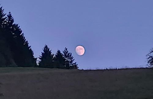 Unterer Gurethshof - Foto 14