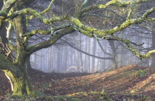 'Mill Cottage' Parbold - Foto 53