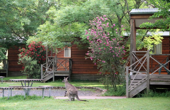 Wombeyan Caves - Foto 29