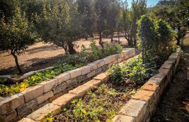 Masseria Latorre Locorotondo - Foto 33