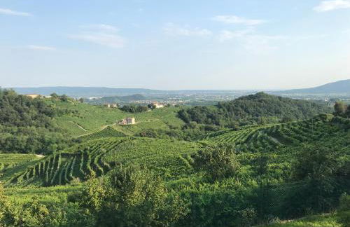 Casa di Vito - Foto 25