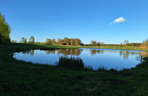 Domek letniskowy ze stawem - Foto 20