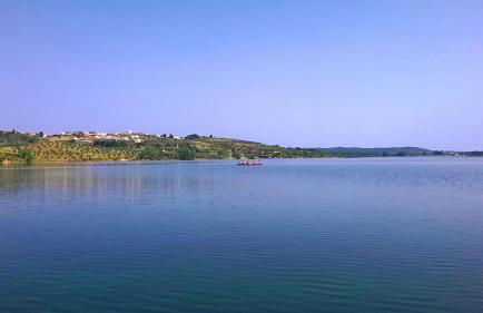 Monte da Tojeirinha - Foto 48