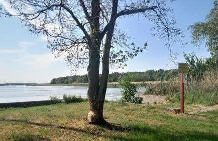 Villa Aurea - Foto 71