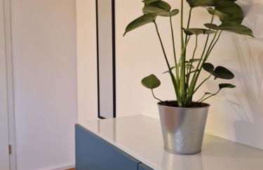 FeWo2 großräumige FeWo in Riegel am Kaiserstuhl über 2 Etagen, Galerie, Balkon - Foto 35