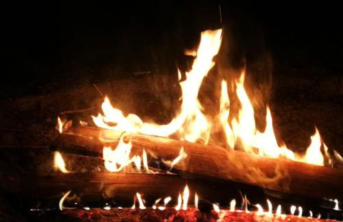 Doberschützer Hof - Foto 31