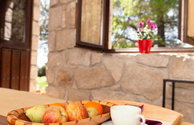 Huerto San Antonio - Foto 14