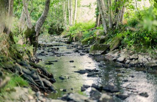 Hellbachhof - Foto 8