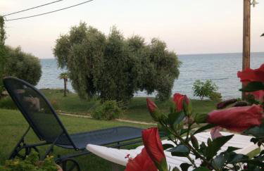 Aegean Villa - Foto 34