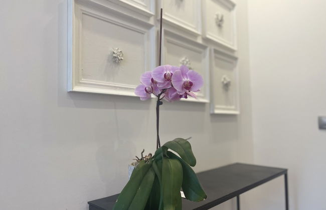 Mas Millésime - Foto 48