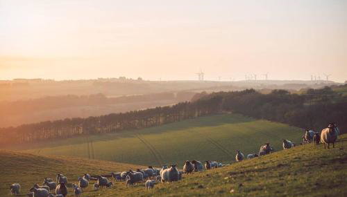 Stewards Cottage, Press Mains Farm Cottages - Foto 3