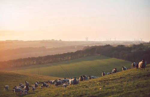 Stewards Cottage, Press Mains Farm Cottages - Foto 3