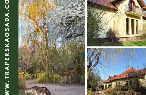 Agroturystyka Traperska Osada - Foto 63