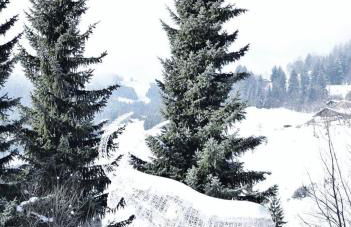 Appartement Hameau des Pistes - Ski-in and Ski-out - Photo 33