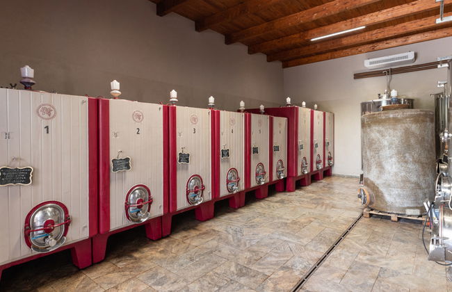 2 bedroom House in Cinigiano with private pool and garden - Photo 51