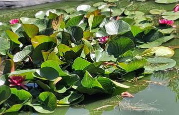 Ferienwohnung Fichtelwald - Foto 62