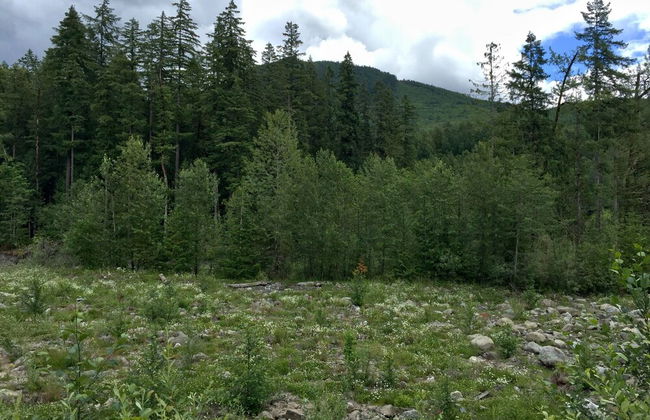 12GS - BBQ - WiFi - Dishwasher - Sleeps 4 - Foto 41