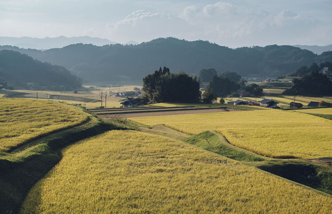 Setouchi Cominca Stays Hiroshima CHOJAYA - Foto 17