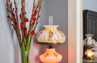 Luxury Historic Shotgun Home in Lower Garden District - Foto 42