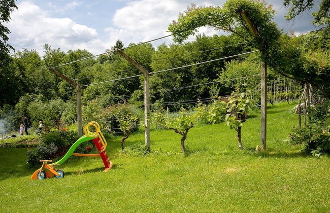 Apartment at the Vesel Homestead, Local Experience - Foto 12
