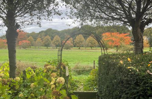 In der Natur gelegene Wohnung mit Weitblick - Foto 8