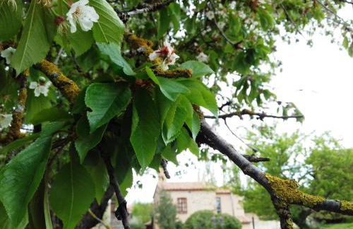 Casa Julián Fábrica Giner - Foto 9