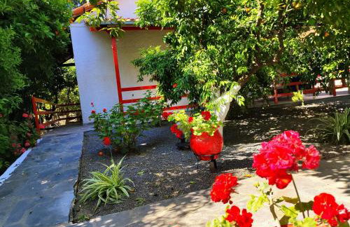 CottonClub Villas - Foto 39