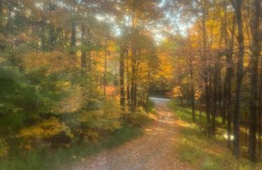 Bill's Place In Vermont - Foto 39