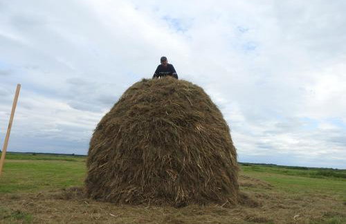 Agroturystyka Biebrzańska Kraina - Foto 42