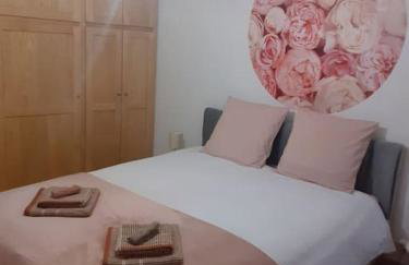 Hypercentre (avec parking), rare avec 3 chambres 3 salles d’eau - Foto 18