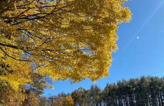 St Johns Ridge - Foto 54