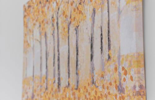 Whiteside 3 Bedroom Apartment - Bathgate - Photo 41