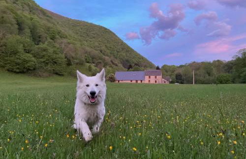 La grange de l'Adour - Trassouet - Foto 46