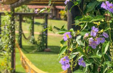 Hotel Fazenda Santa Helena - Photo 75