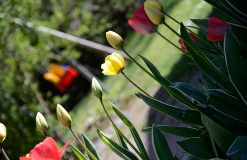 Casa vacanze Dos de Loré - Relax a due passi da Tovel - Foto 22