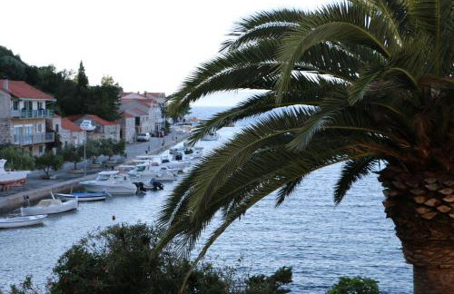 Apartments Leo Katić - Foto 59