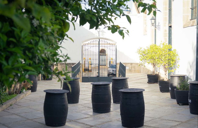 Visite des Bodegas Álvaro Domecq - Photo 6