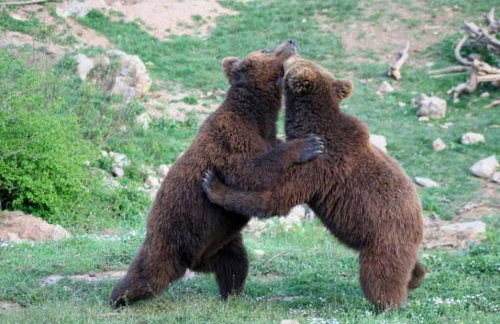 Villa Lady Di Plitvice - Foto 41