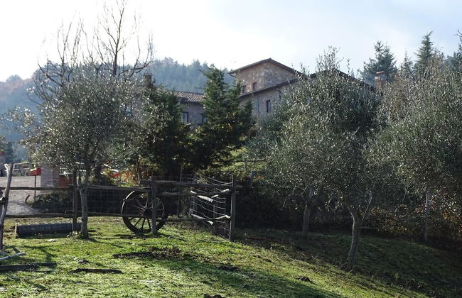 Agriturismo Olivastrella - Foto 51