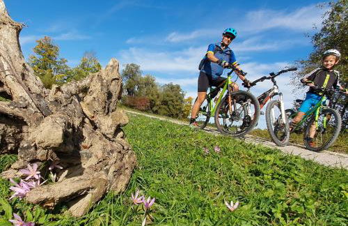 Hörnlestubn - Foto 34