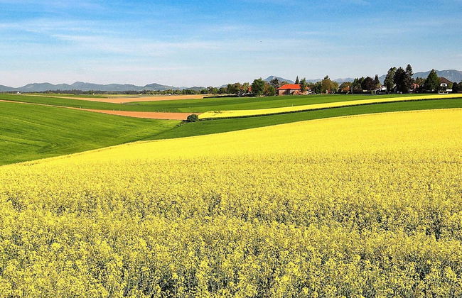 5 Star Holiday Home in Simrishamn - Foto 14