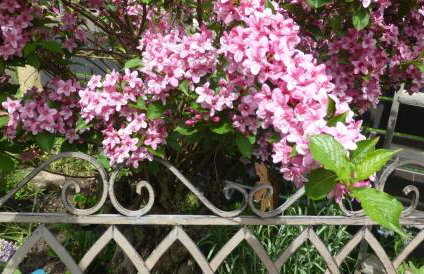 Winzerlodge, Wohnung Hatzelberg - Foto 12