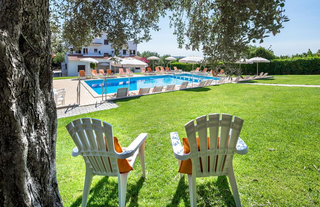 Flor da Laranja - Foto 7