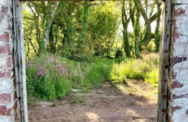 Secluded cottage with hot tub - Foto 25