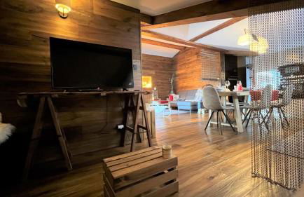 Penthouse l'Ourse Bleue - Sauna privatif - accès direct aux pistes - Foto 13