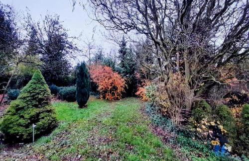 Eifel Garden Villa for Groups - Foto 71