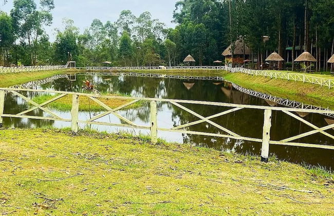 Nyungu Yamawe Forest Park - Foto 42